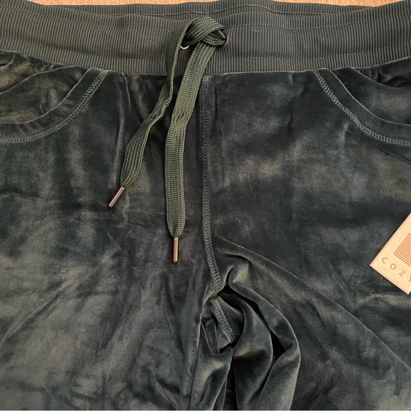 NWT Velvet Lularoe Crystal Pants - Picture 6 of 9